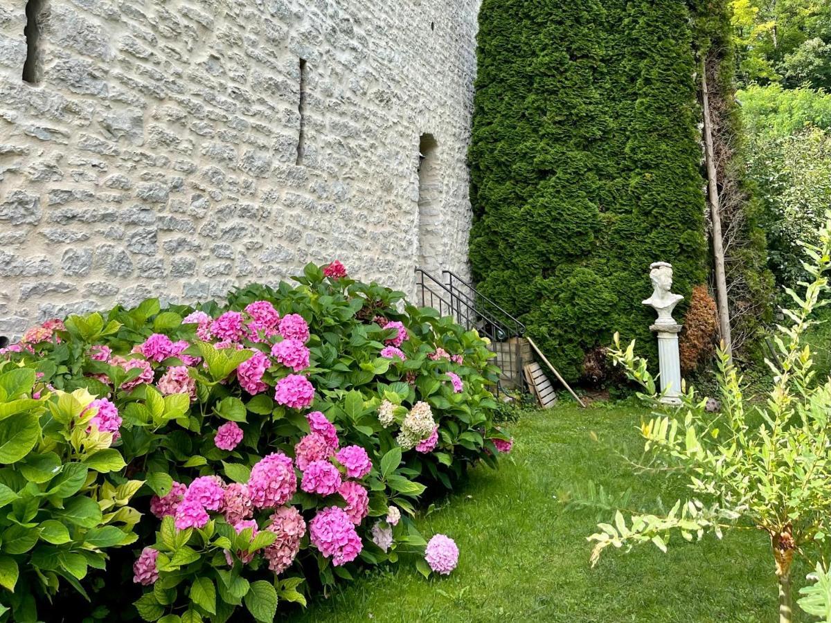 Manoir Saint-Pierre Panzió Villersexel Kültér fotó